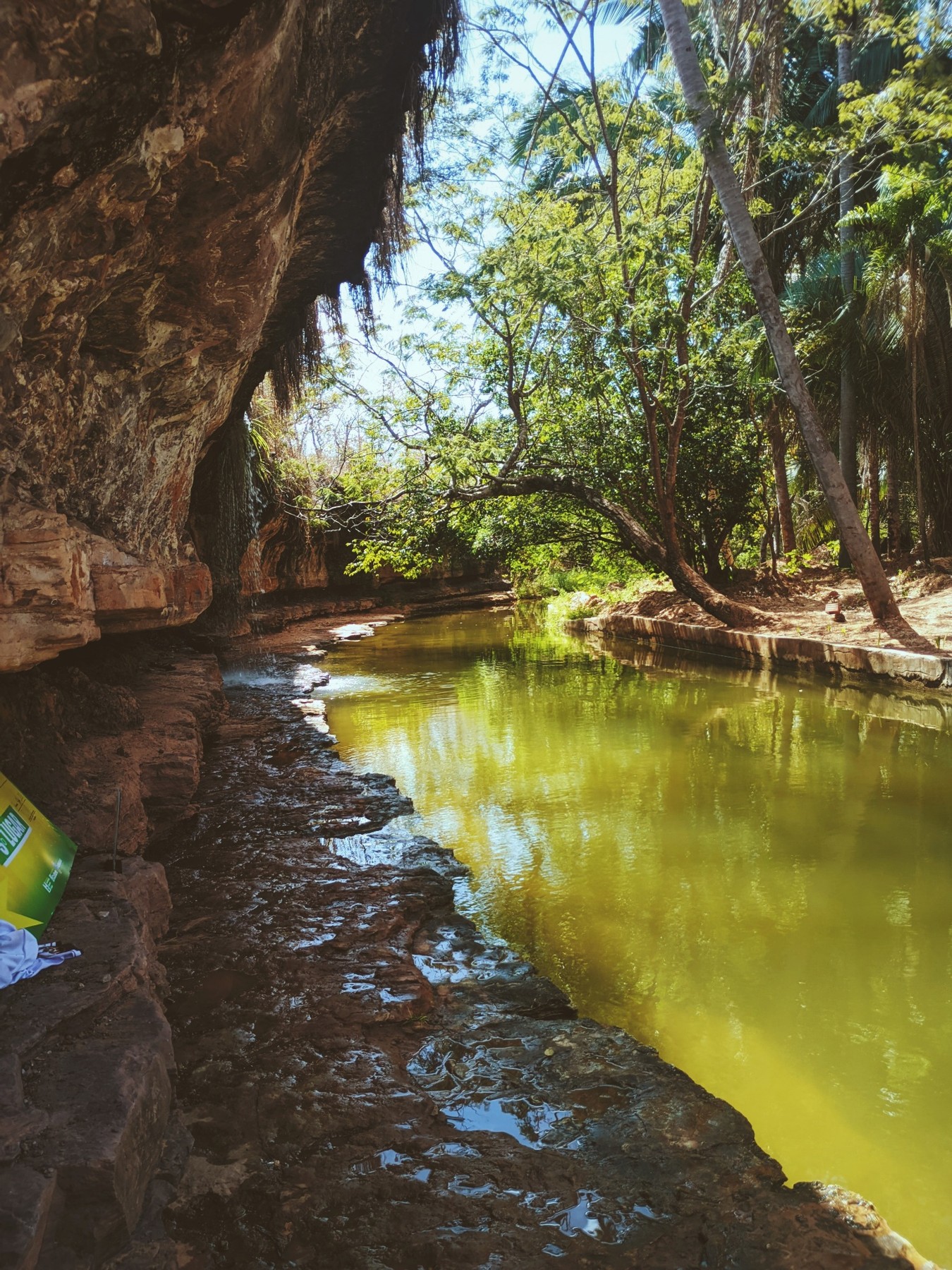 Água verde e árvores em um recanto natural junto à rocha